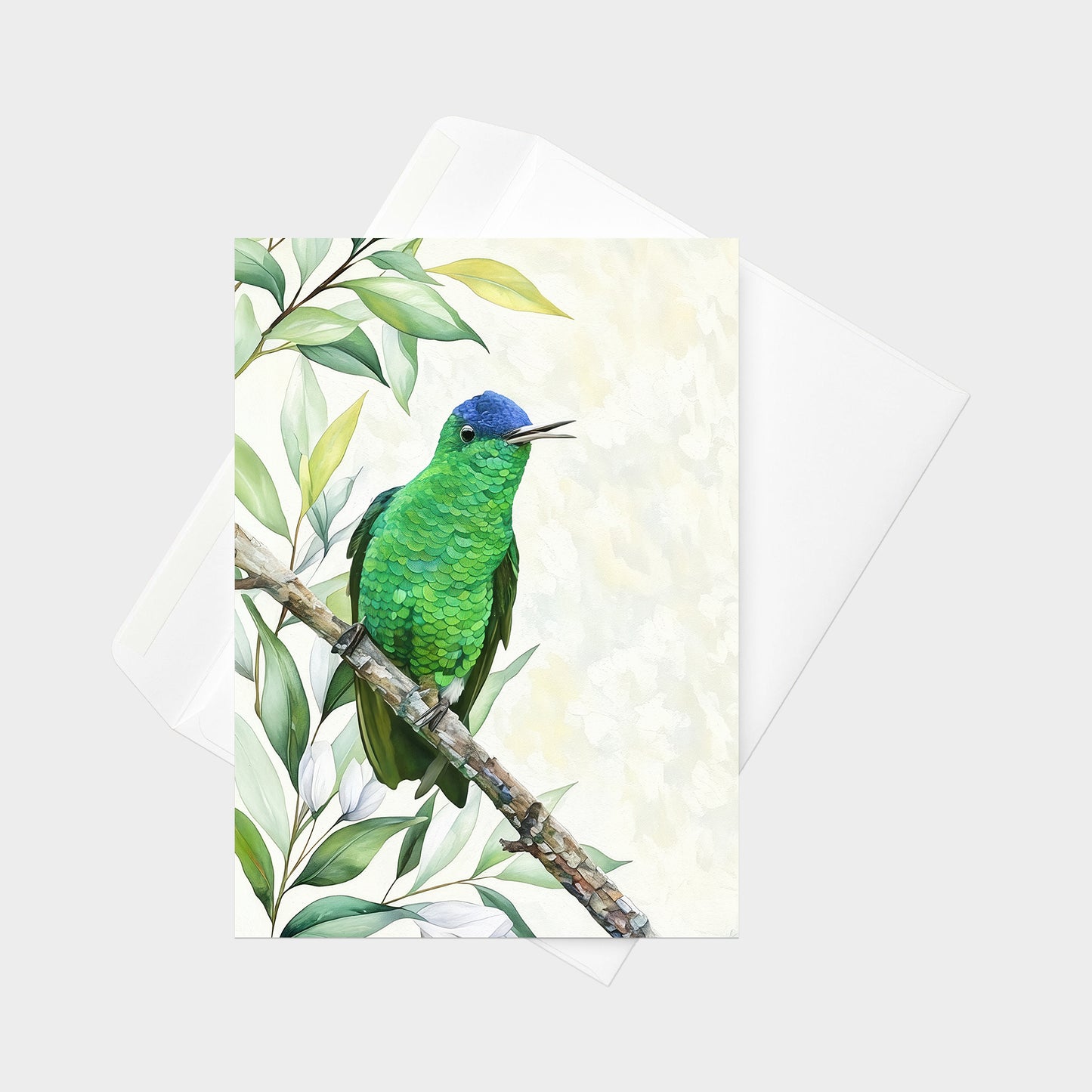 Indigo-capped Hummingbird | 5x7 Note Card