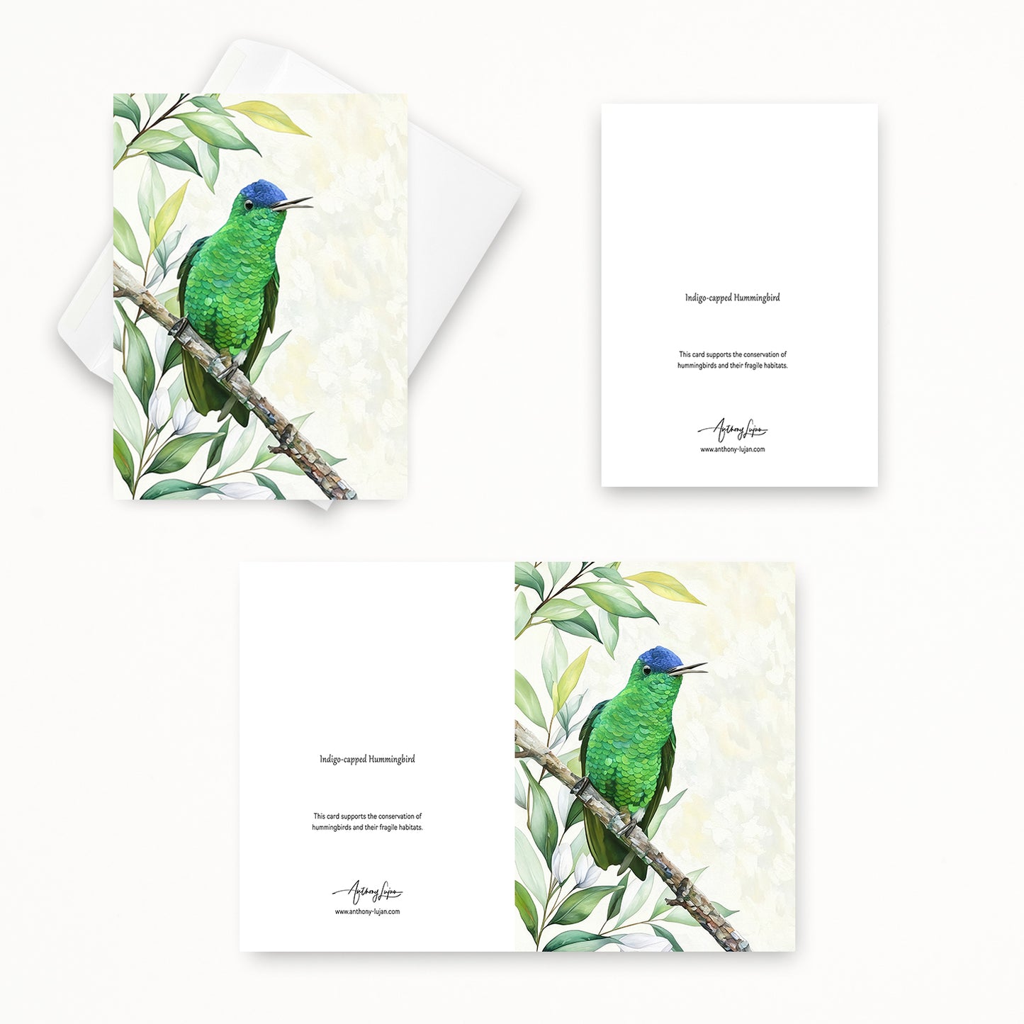 Indigo-capped Hummingbird | 5x7 Note Card