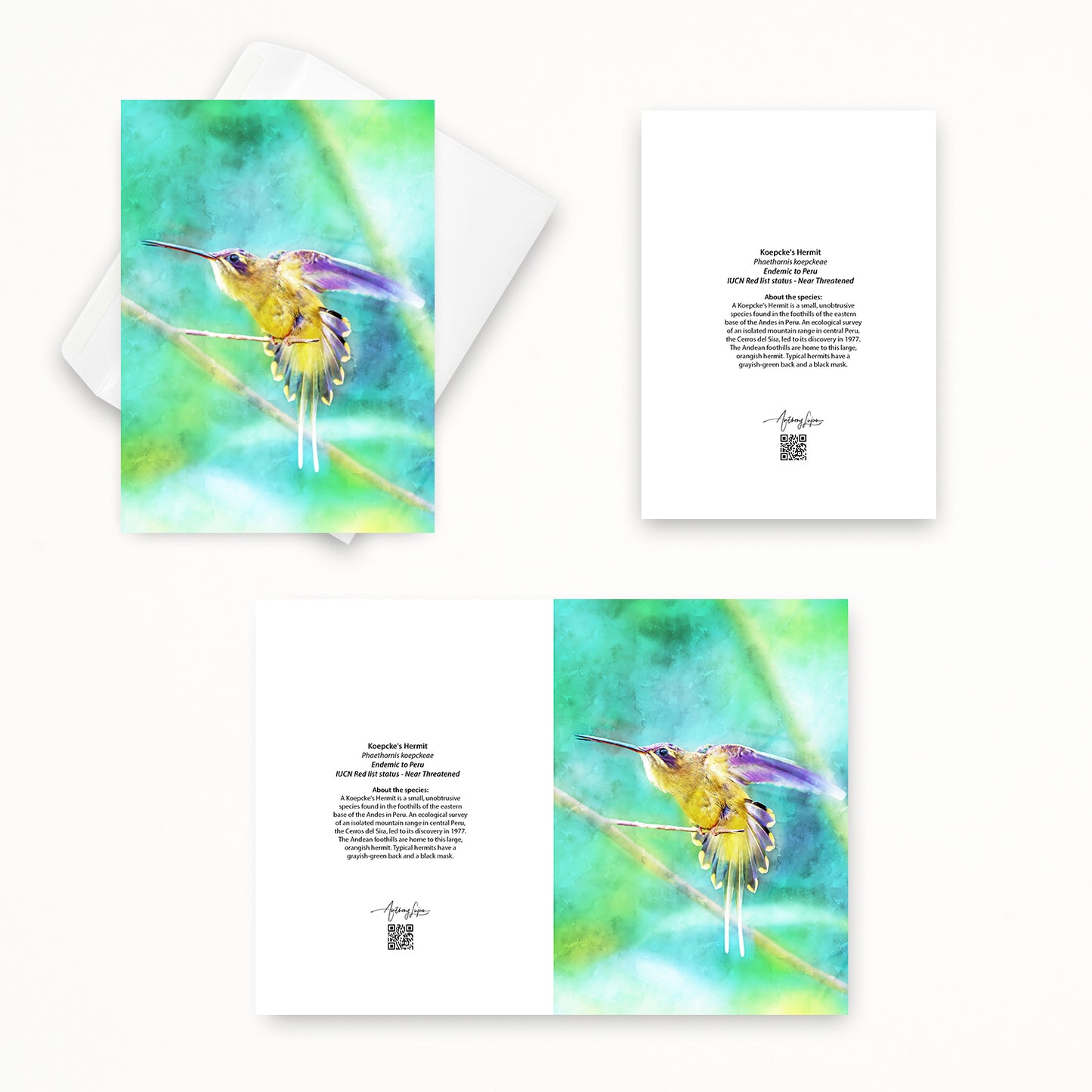 Koepcke’s Hermit 5x7 note card featuring Anthony Lujan photography