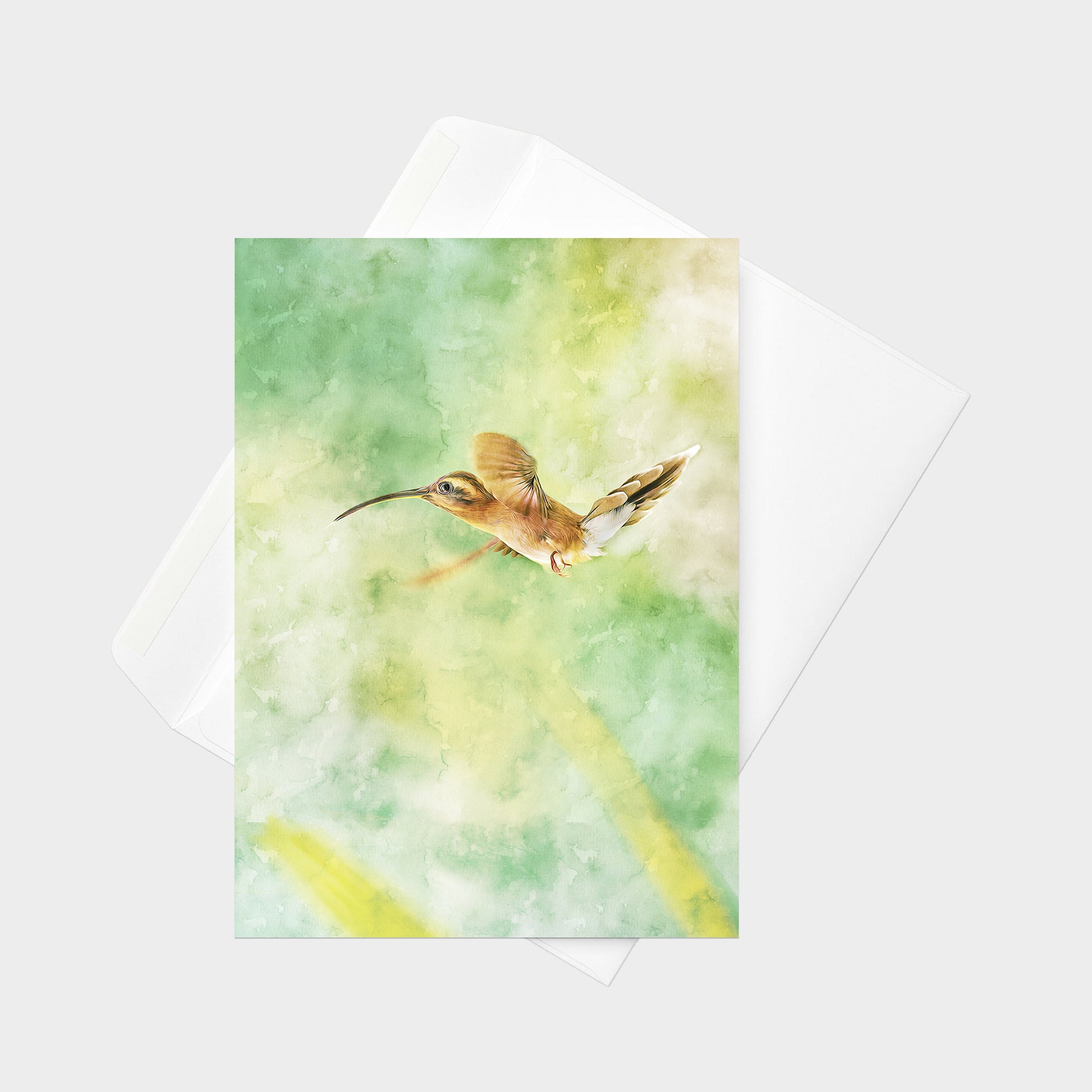 Little Hermit note card back view