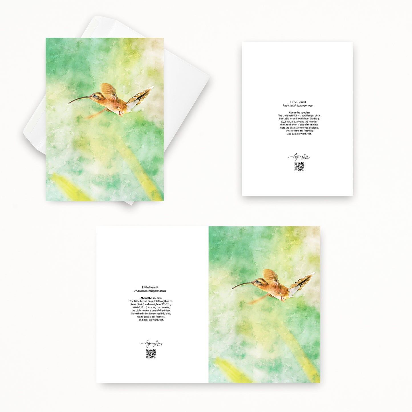 Little Hermit 5x7 note card featuring Anthony Lujan photography