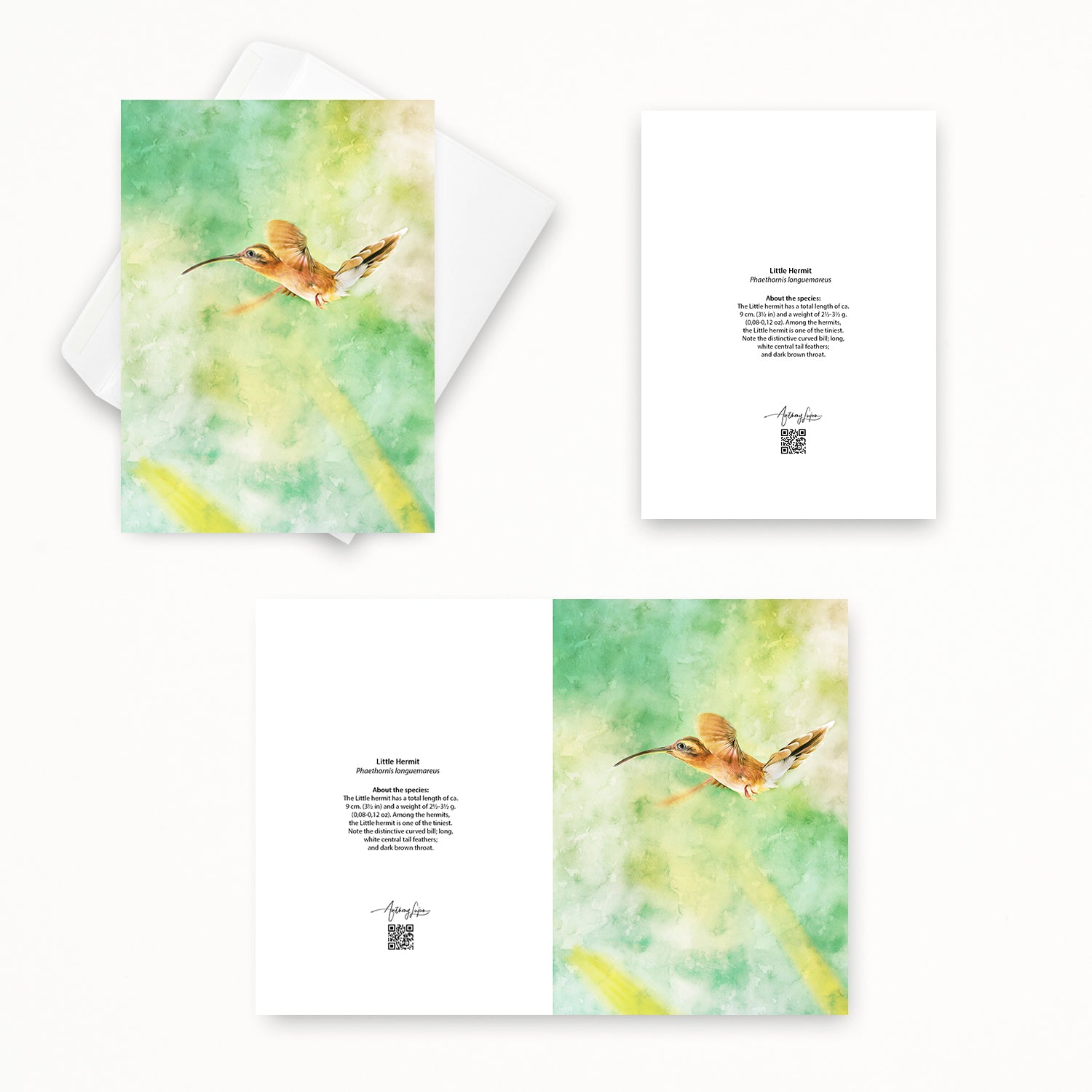Little Hermit 5x7 note card featuring Anthony Lujan photography