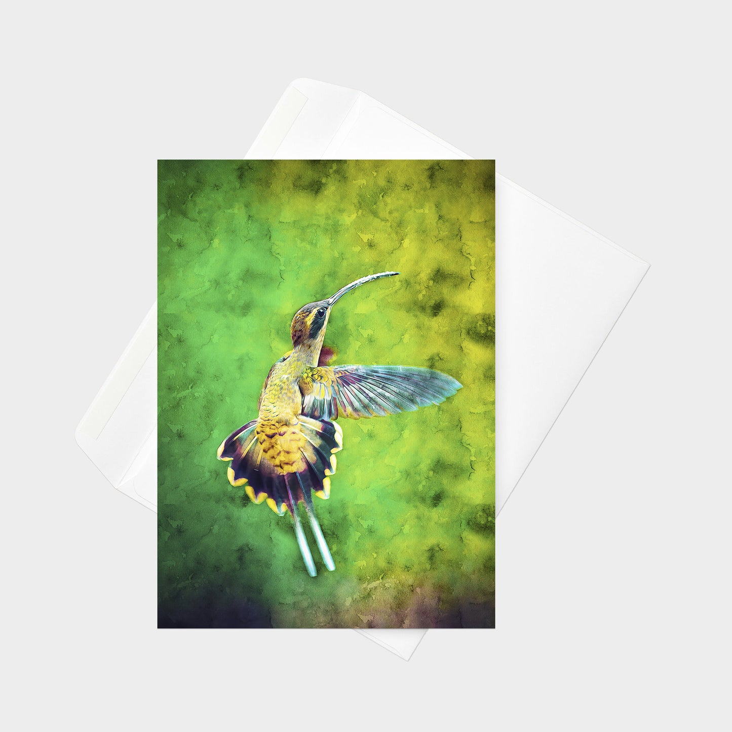 Long-billed Hermit note card back view