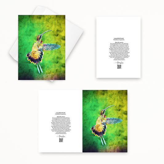 Long-billed Hermit 5x7 note card featuring Anthony Lujan photography