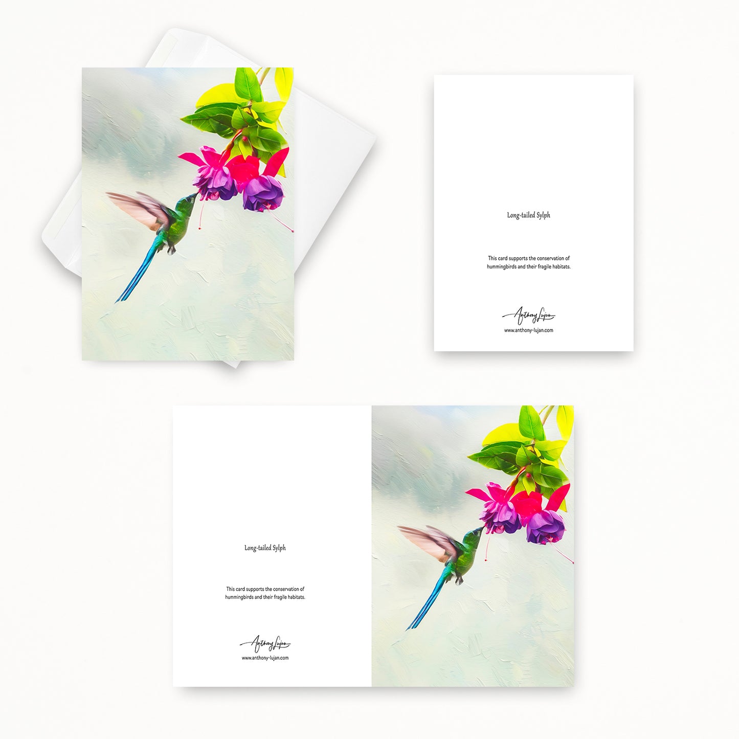 Long-tailed Sylph | 5x7 Note Card