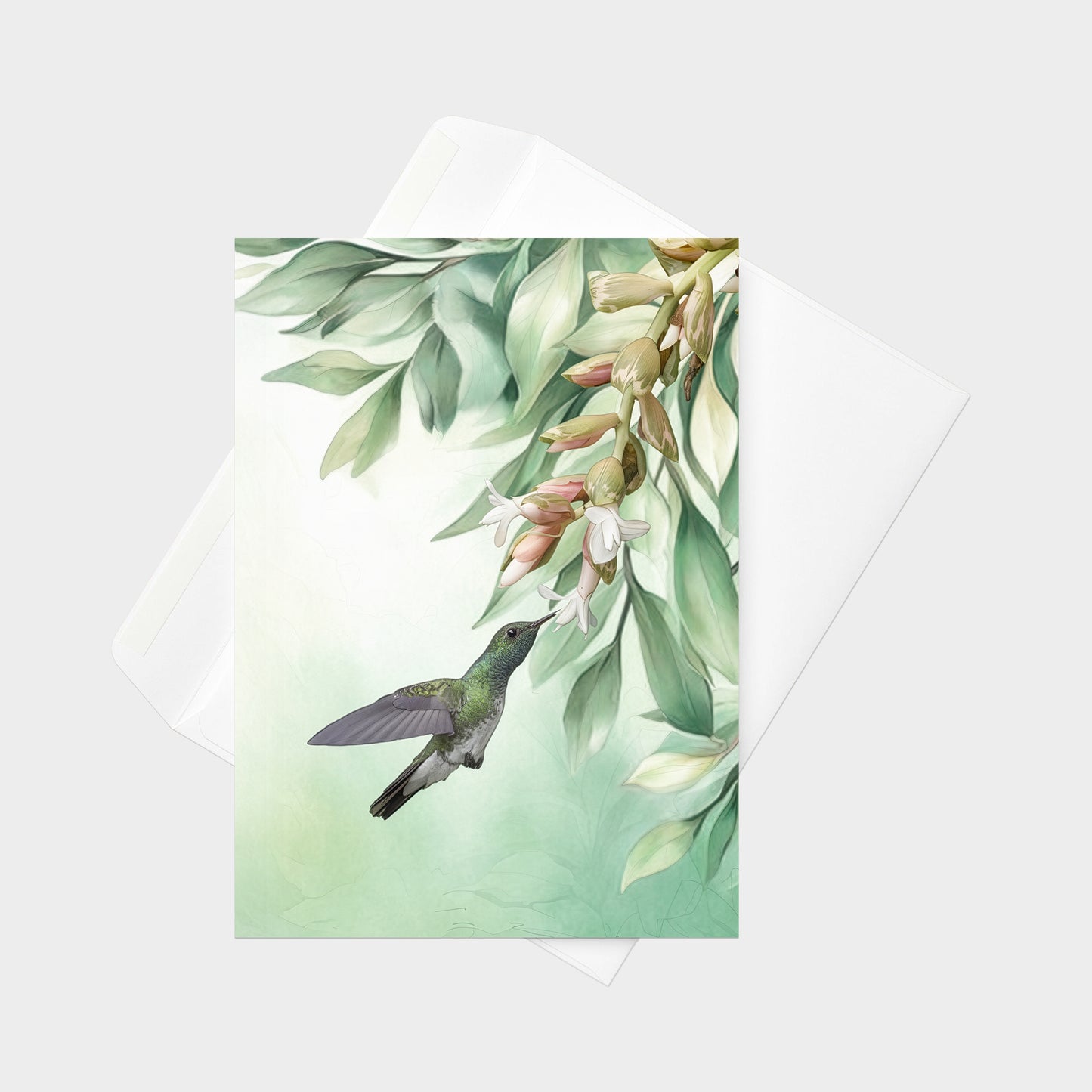 Mangrove Hummingbird | 5x7 Note Card
