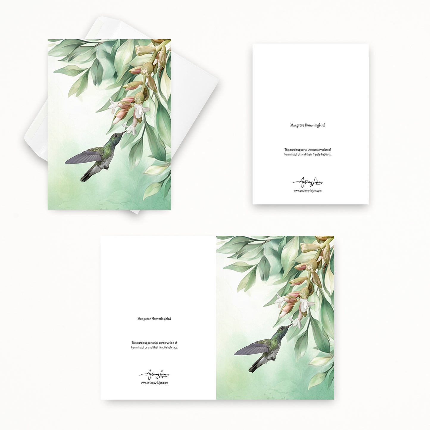 Mangrove Hummingbird | 5x7 Note Card