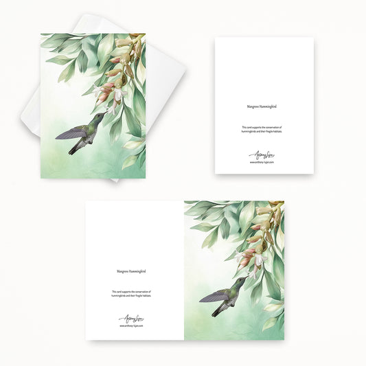 Mangrove Hummingbird | 5x7 Note Card