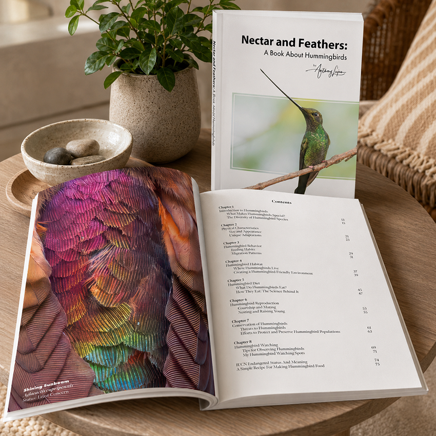 Nectar and Feathers - A Book About Hummingbirds - Hardcover