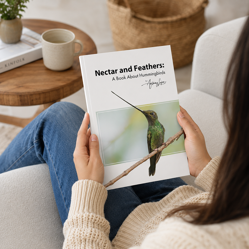 Nectar and Feathers - A Book About Hummingbirds - Hardcover