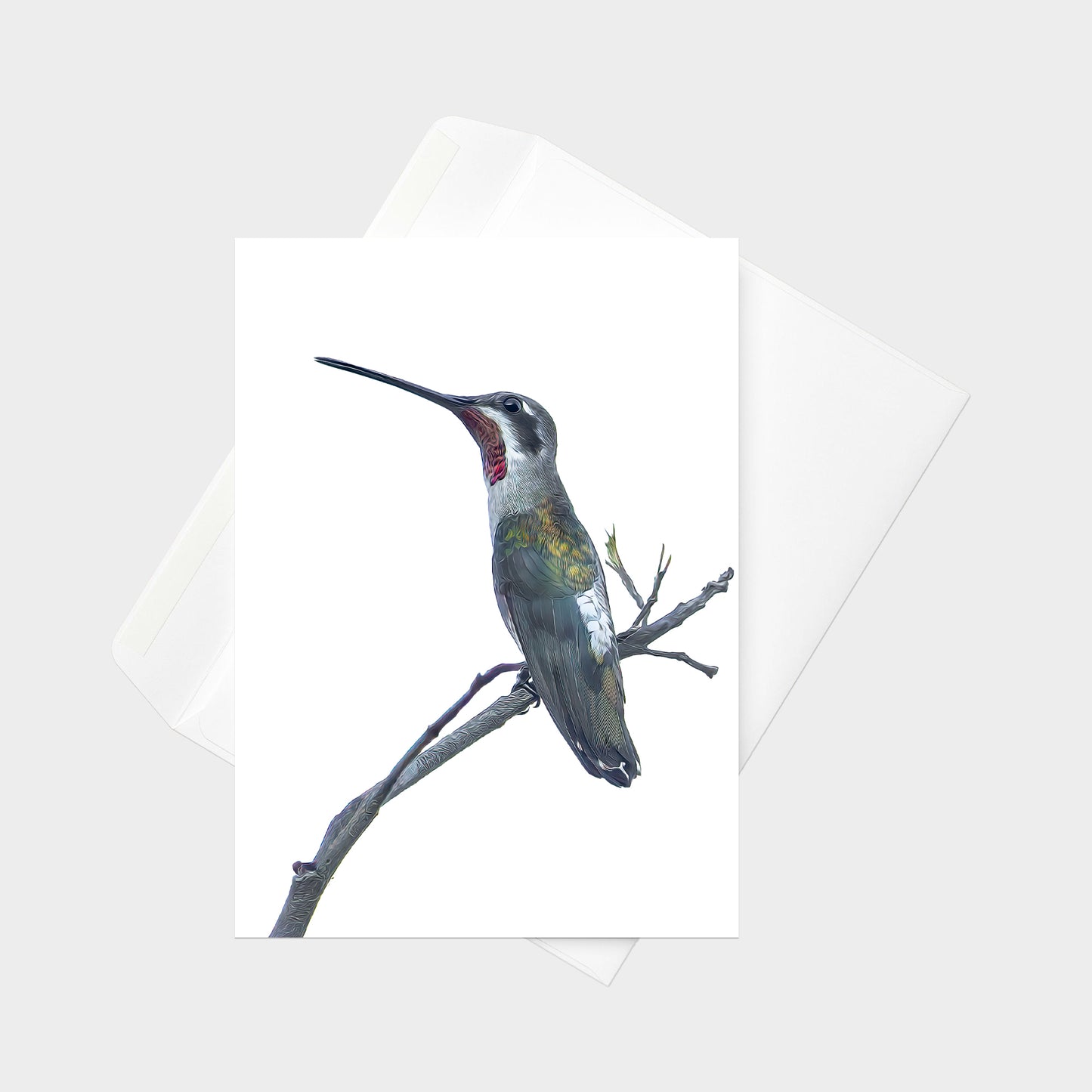 Plain-capped Starthroat note card back view