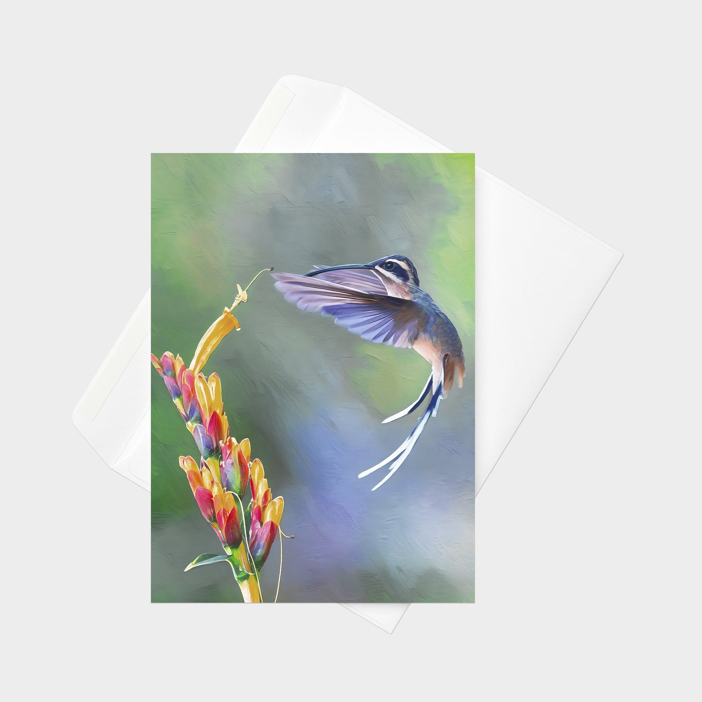 Planalto Hermit | 5x7 Note Card