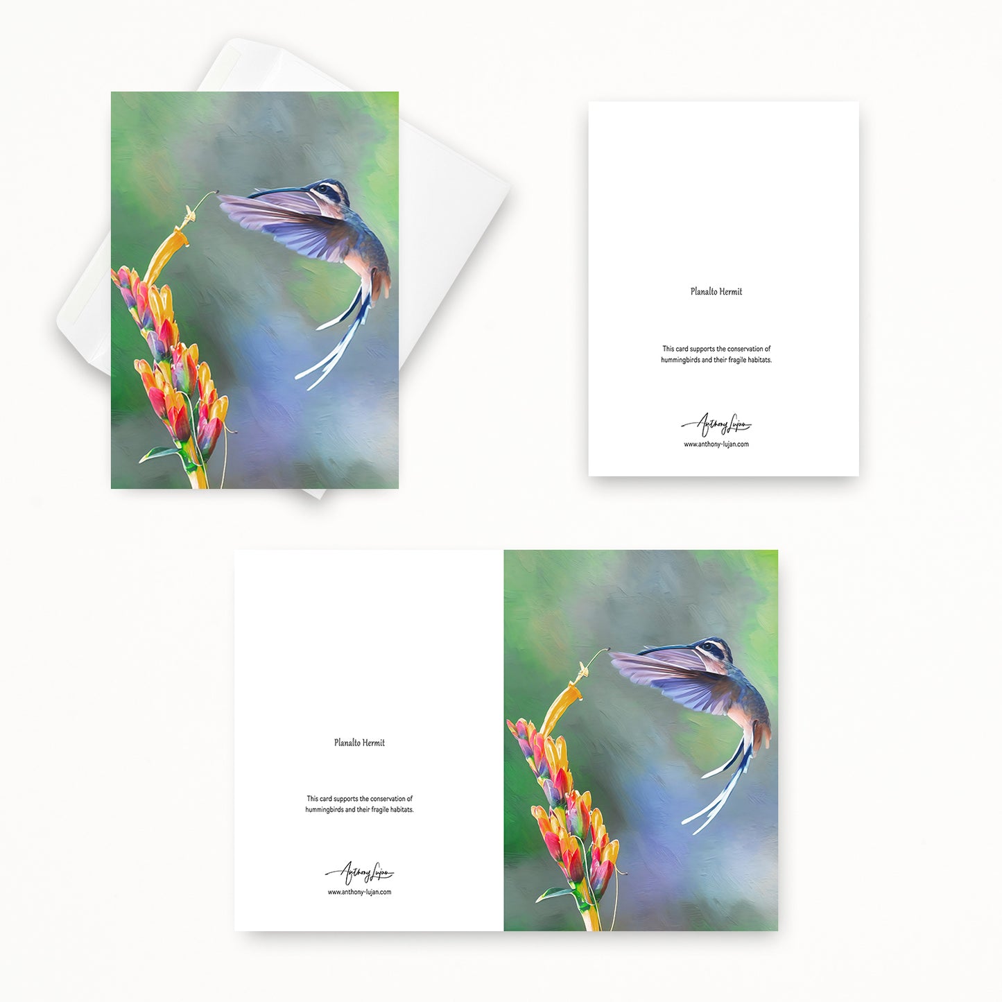 Planalto Hermit | 5x7 Note Card