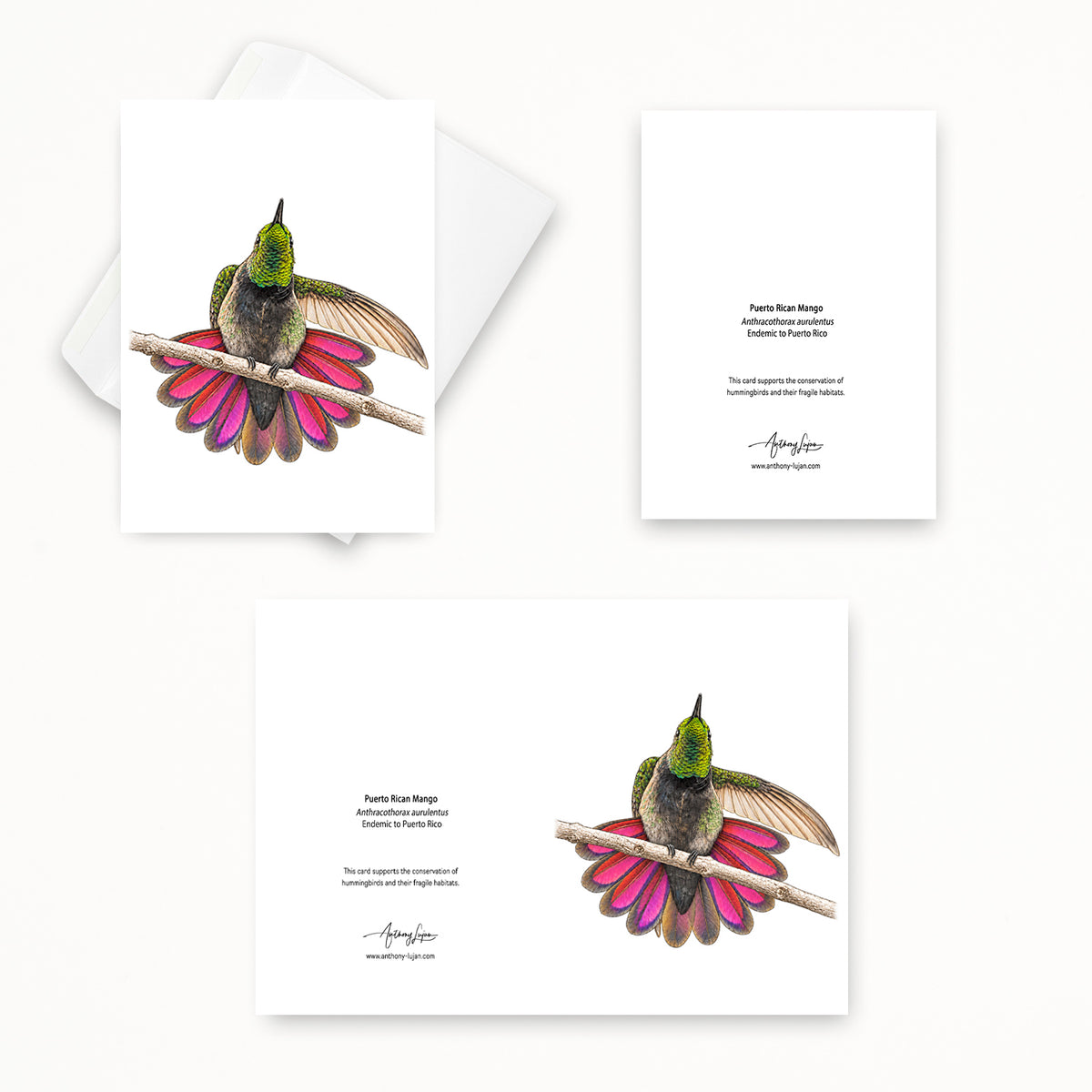 Puerto Rican Mango | 5x7 Note Card