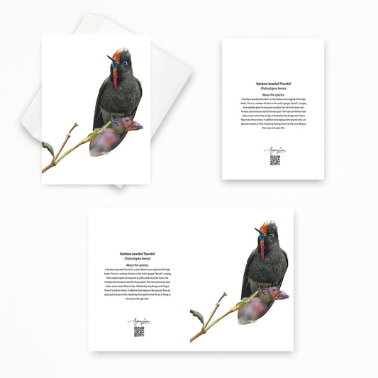 Rainbow-bearded Thornbill 5x7 note card featuring Anthony Lujan photography