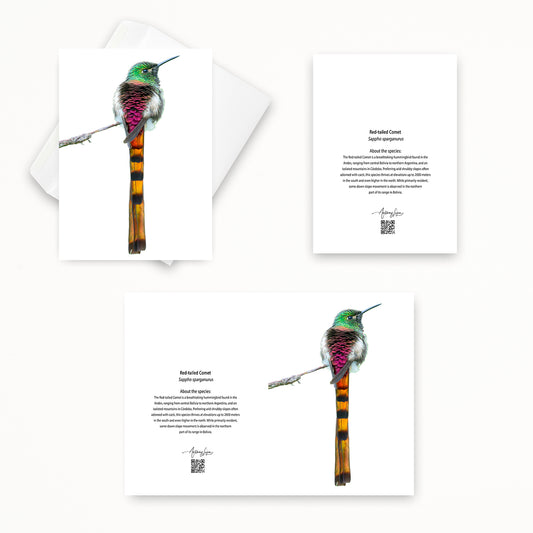 Red-tailed Comet 5x7 note card featuring Anthony Lujan photography