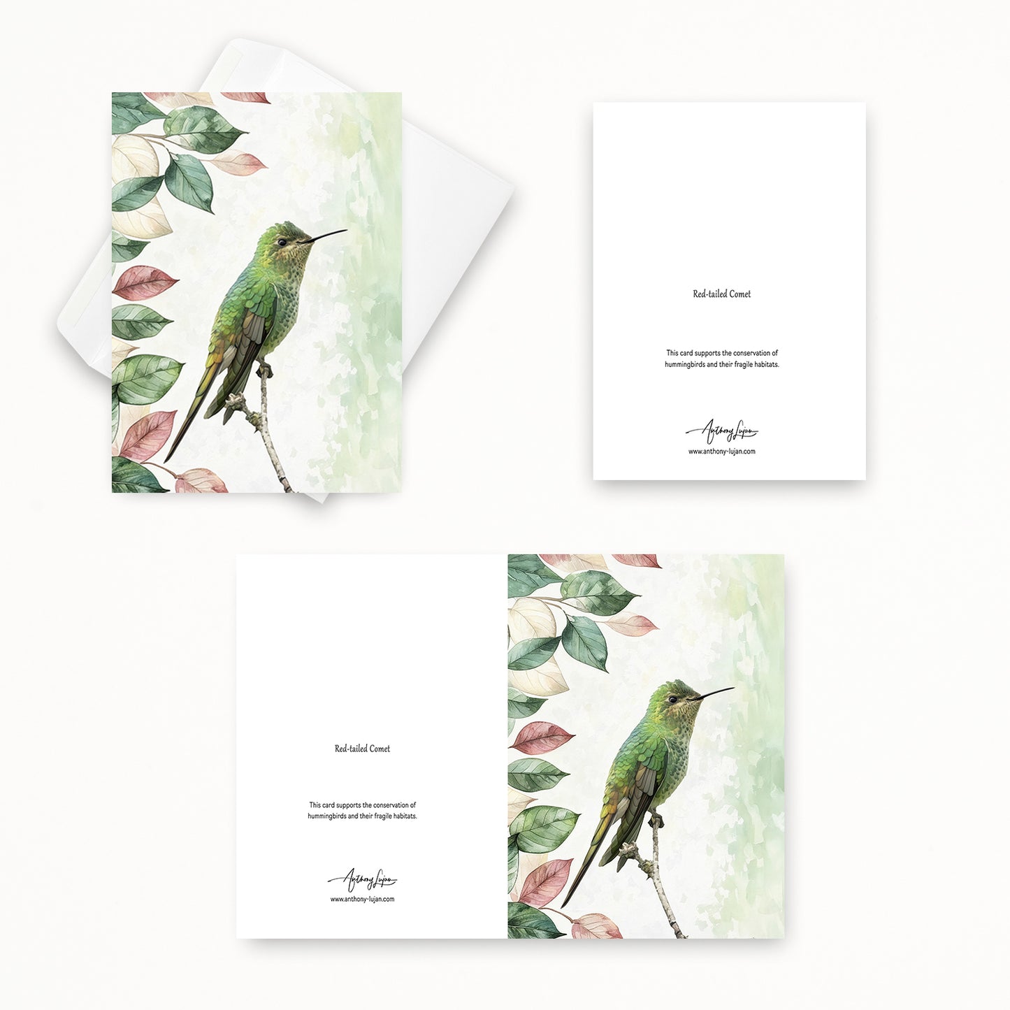 Red-tailed Comet | 5x7 Note Card