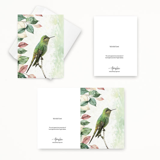 Red-tailed Comet | 5x7 Note Card