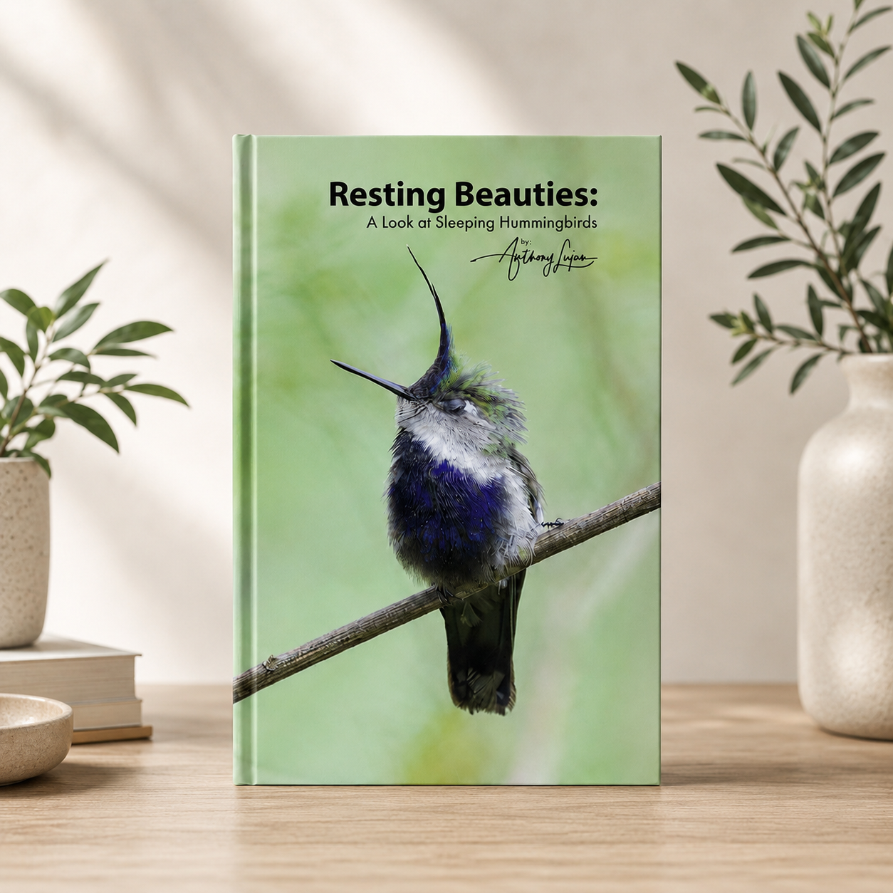 Resting Beauties: A Look at Sleeping Hummingbirds - Hardcover