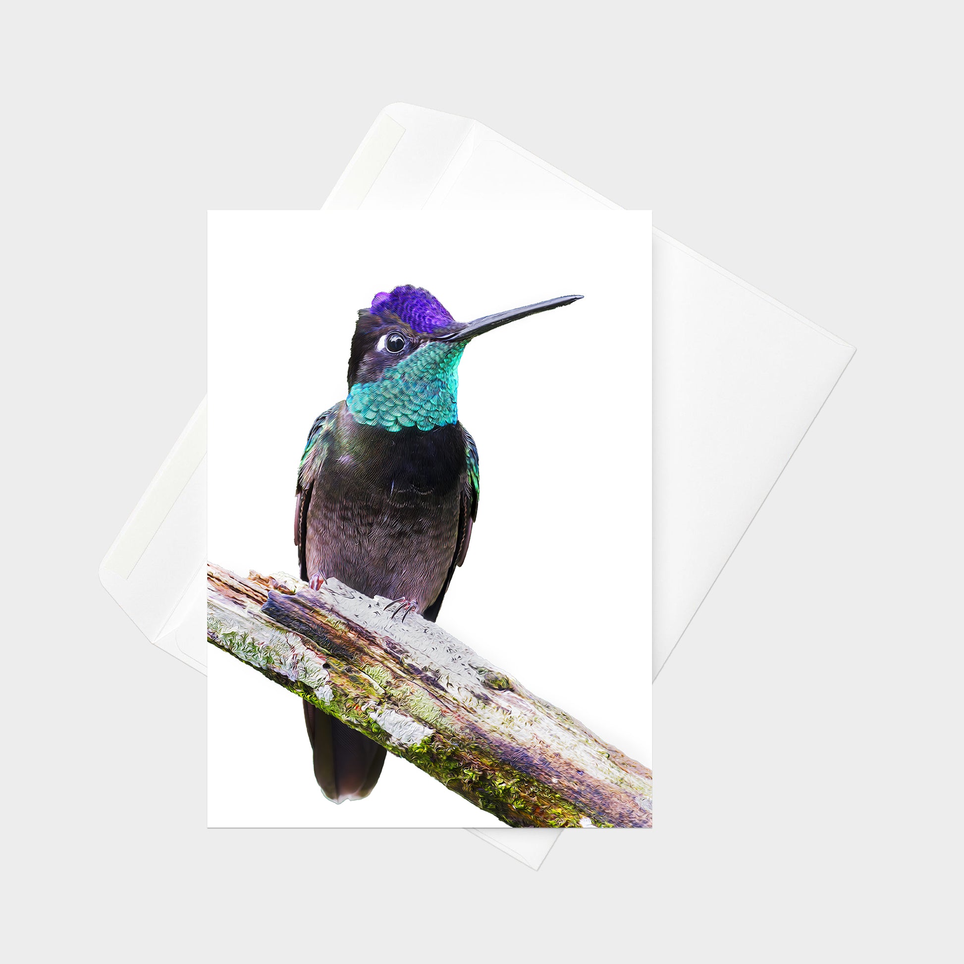Rivoli’s Hummingbird note card back view