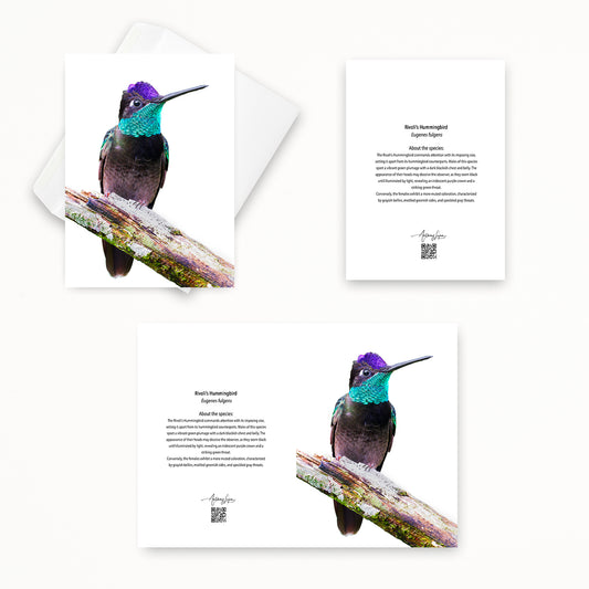 Rivoli’s Hummingbird 5x7 note card featuring Anthony Lujan photography