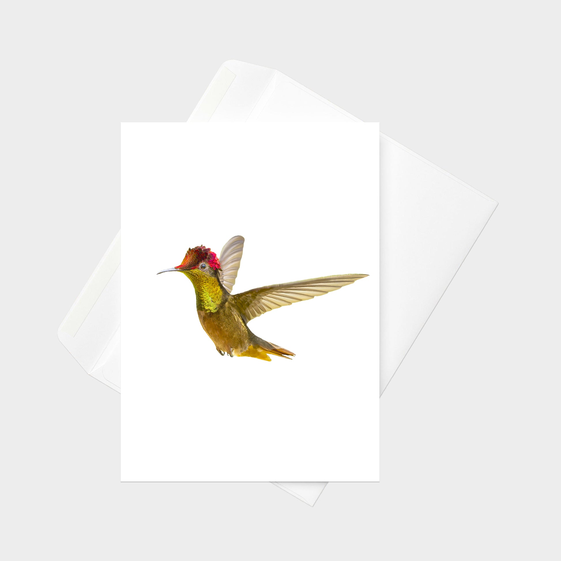 Ruby-topaz Hummingbird note card back view