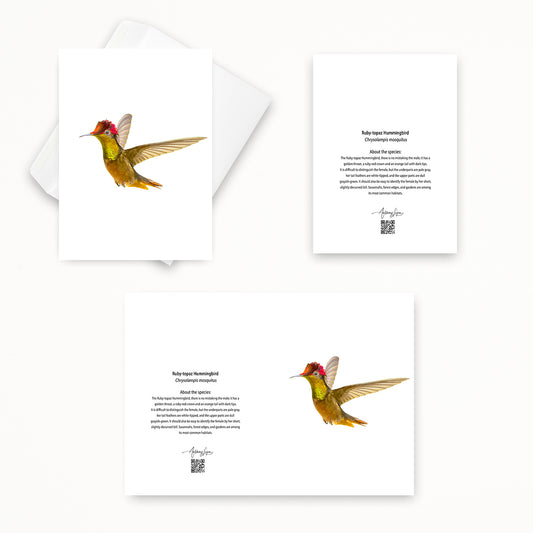 Ruby-topaz Hummingbird 5x7 note card featuring Anthony Lujan photography
