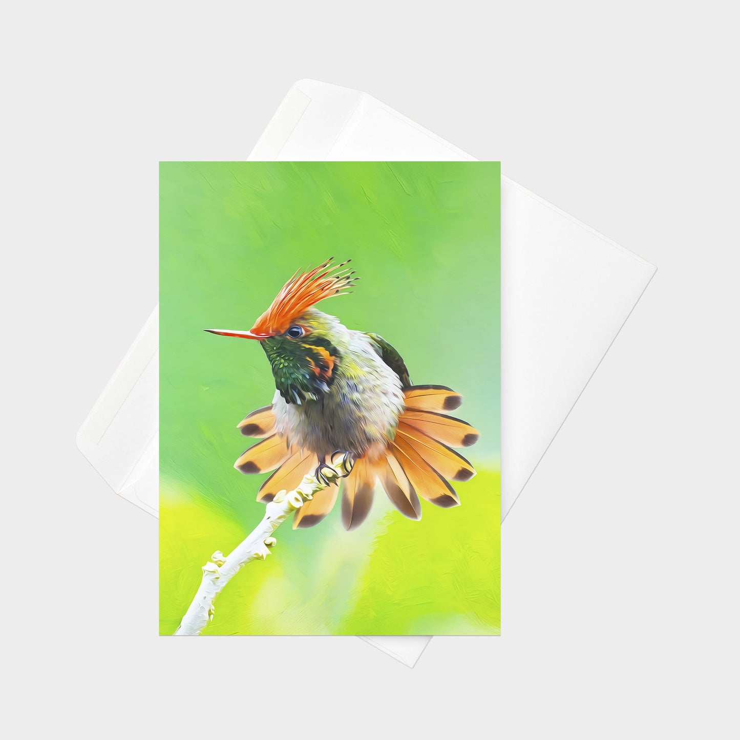 Rufous-crested Coquette | 5x7 Note Card