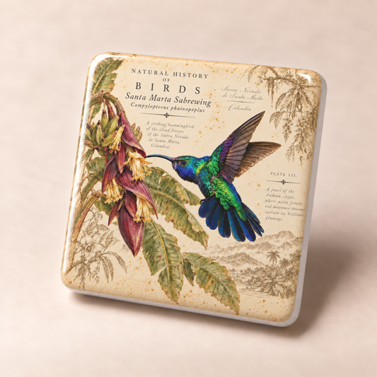 Santa Marta Sabrewing Porcelain Magnet
