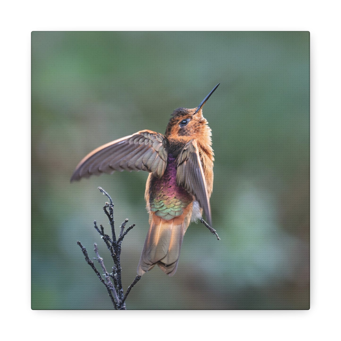 Shining Sunbeam 8x8 Canvas Print