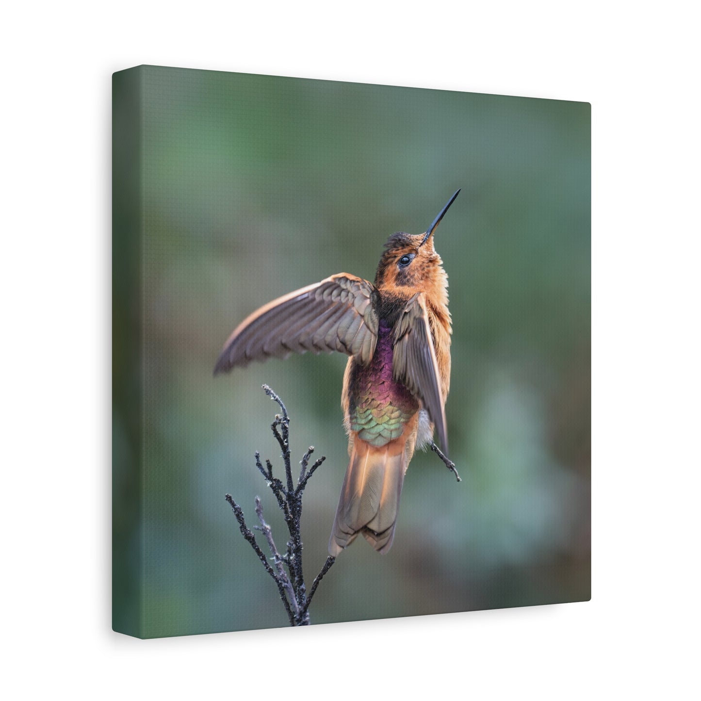 Shining Sunbeam 8x8 Canvas Print
