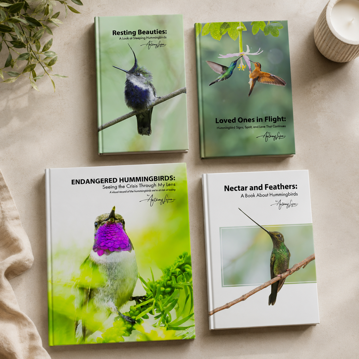 Resting Beauties: A Look at Sleeping Hummingbirds - Hardcover