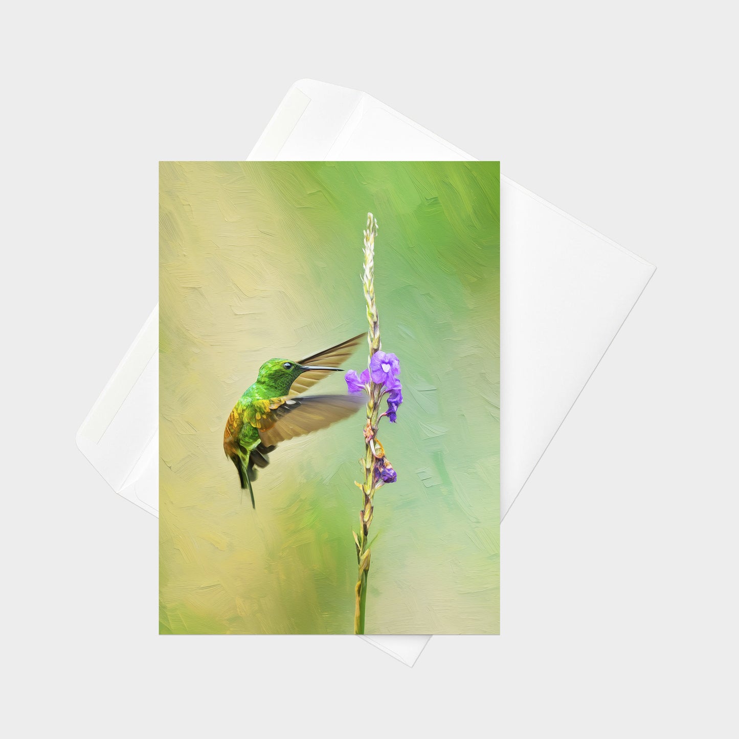 Snowy-bellied Hummingbird | 5x7 Note Card