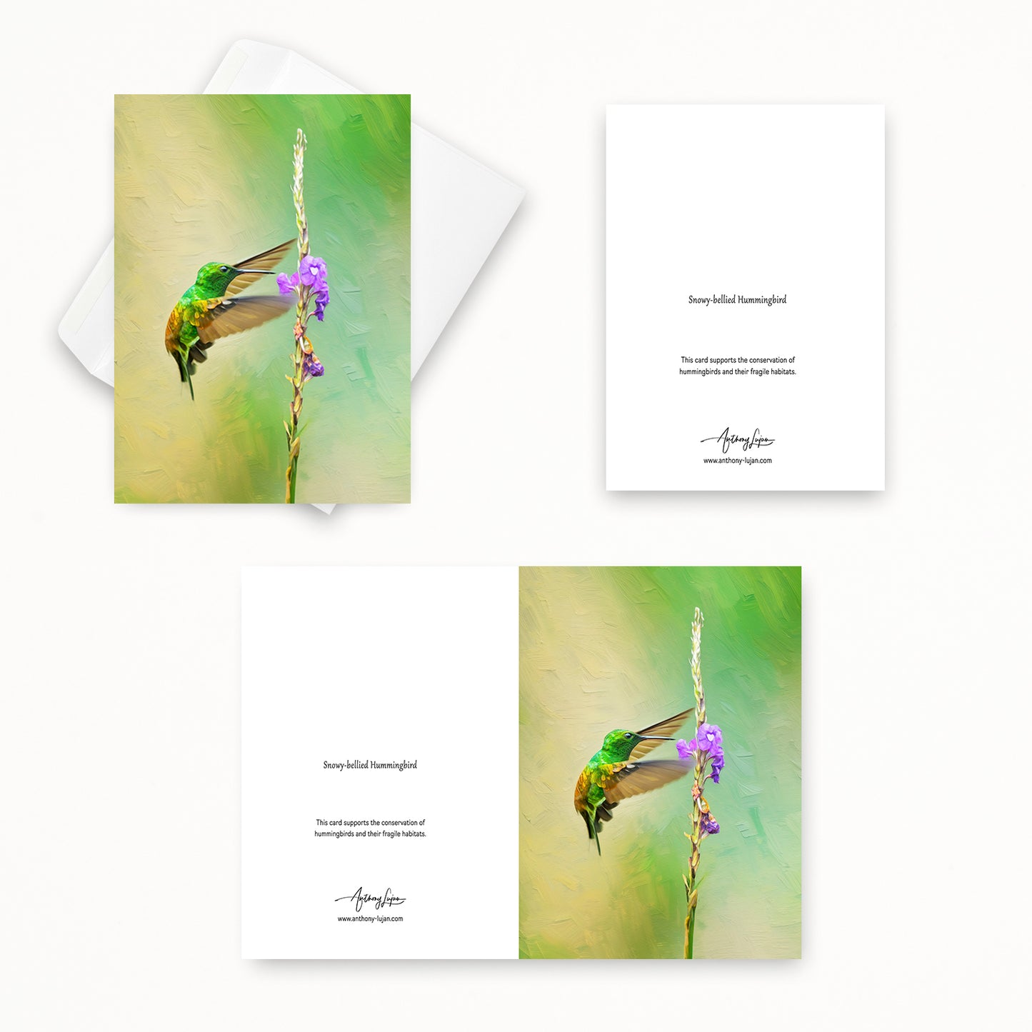 Snowy-bellied Hummingbird | 5x7 Note Card