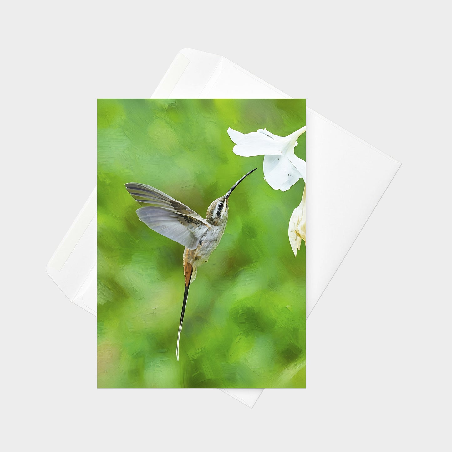 Sooty-capped Hermit | 5x7 Note Card