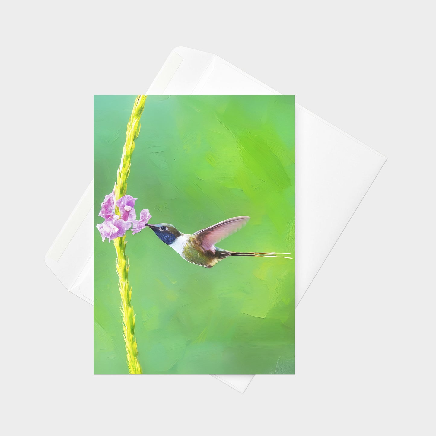 Sparkling-tailed Hummingbird | 5x7 Note Card