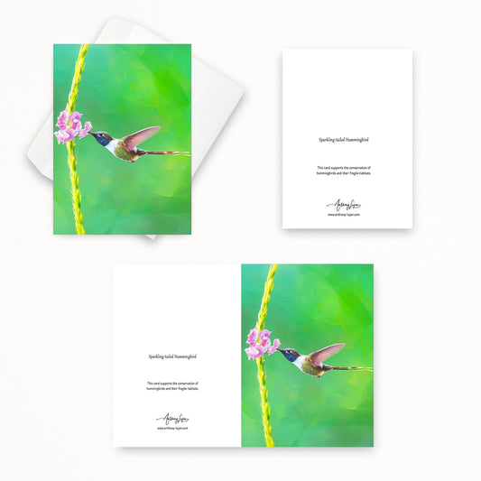 Sparkling-tailed Hummingbird | 5x7 Note Card