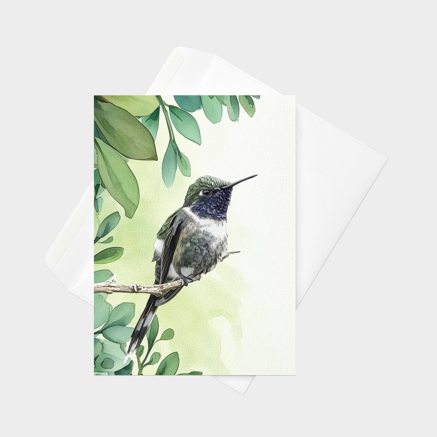 Sparkling-tailed Hummingbird | 5x7 Note Card