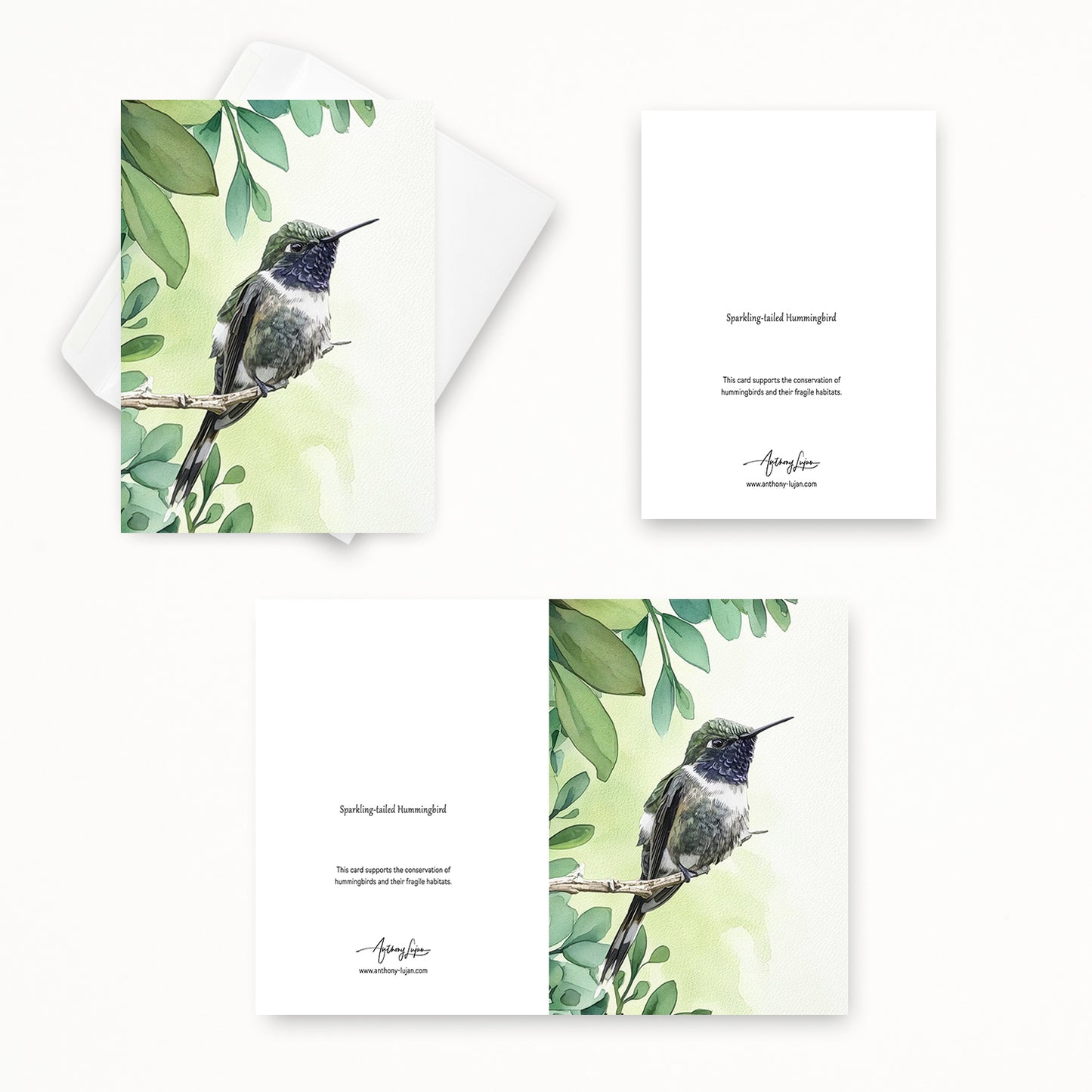 Sparkling-tailed Hummingbird | 5x7 Note Card