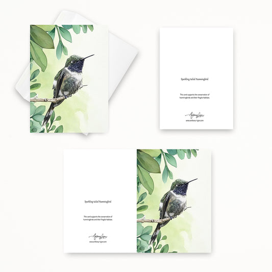 Sparkling-tailed Hummingbird | 5x7 Note Card