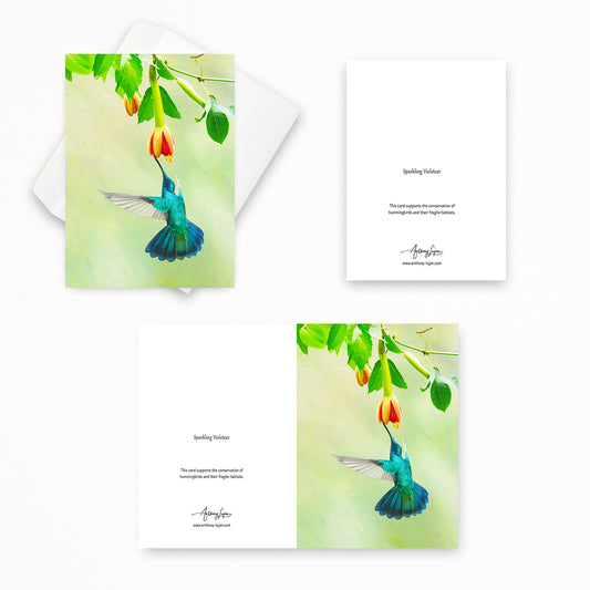 Sparkling Violetear | 5x7 Note Card