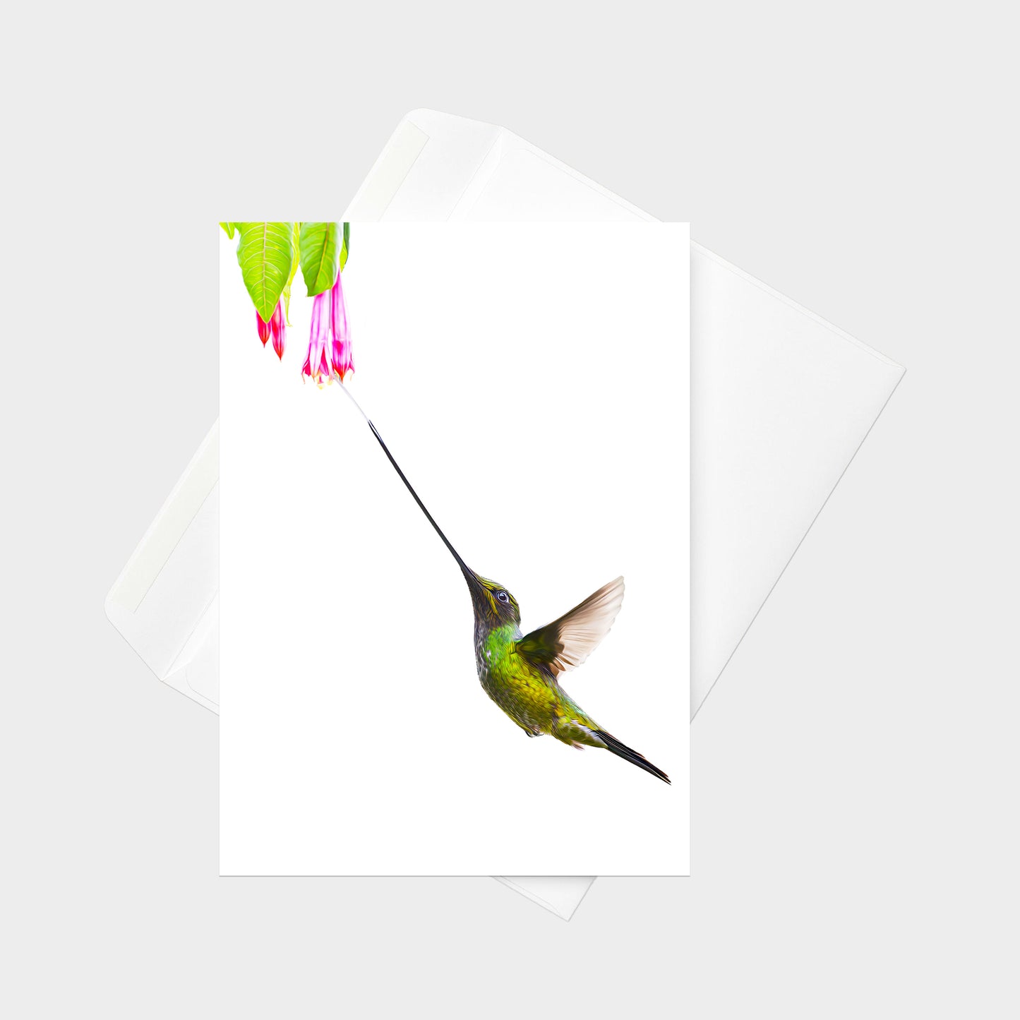 Sword-billed Hummingbird note card back view