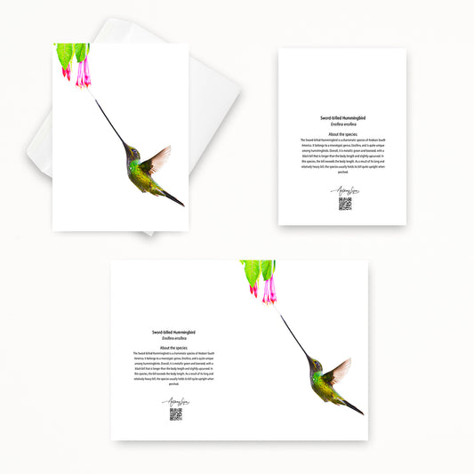 Sword-billed Hummingbird 5x7 note card featuring Anthony Lujan photography