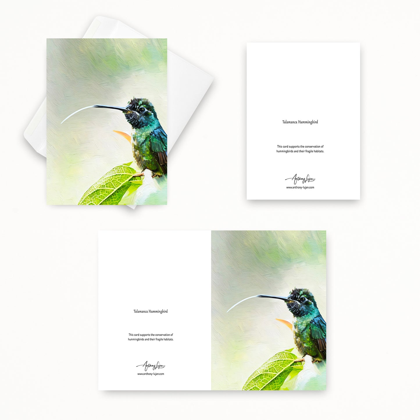 Talamanca Hummingbird | 5x7 Note Card