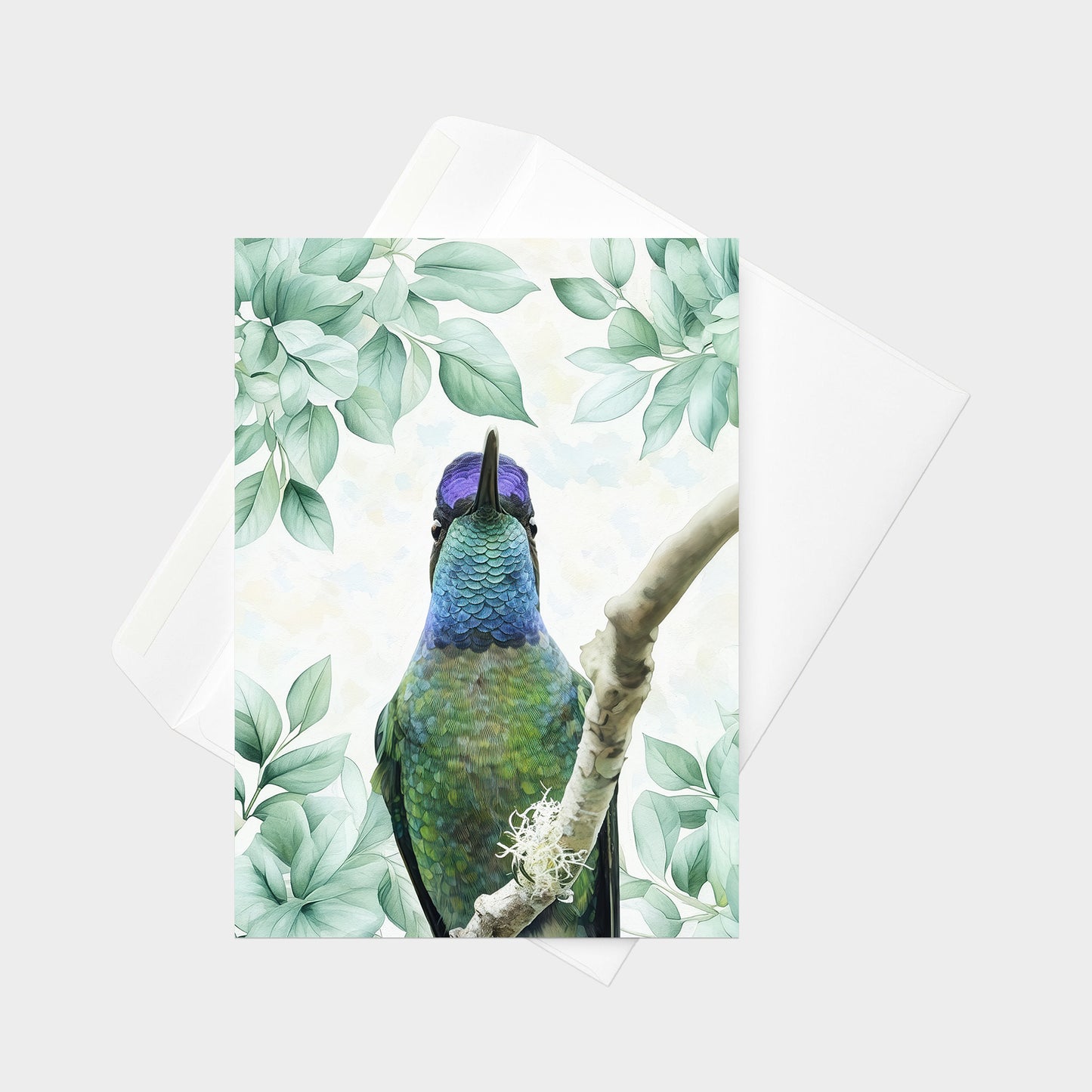 Talamanca Hummingbird | 5x7 Note Card