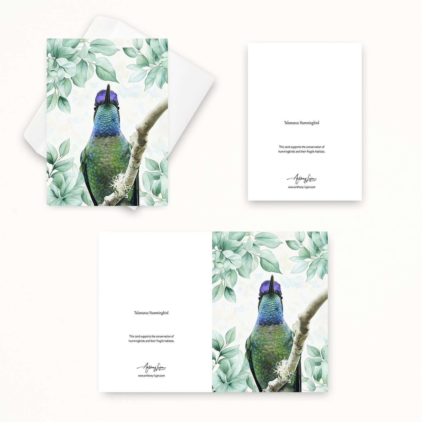 Talamanca Hummingbird | 5x7 Note Card