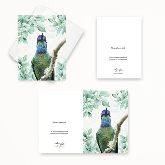 Talamanca Hummingbird | 5x7 Note Card