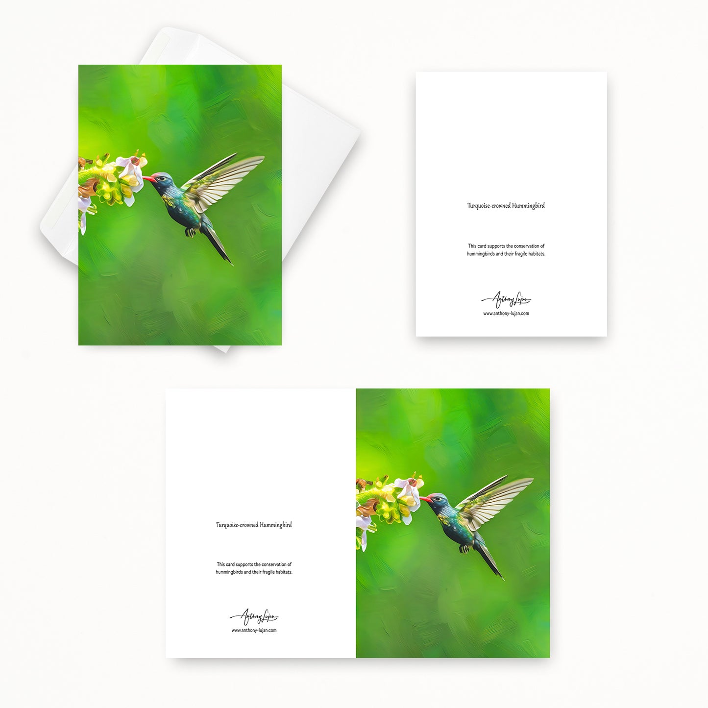 Turquoise-crowned Hummingbird | 5x7 Note Card