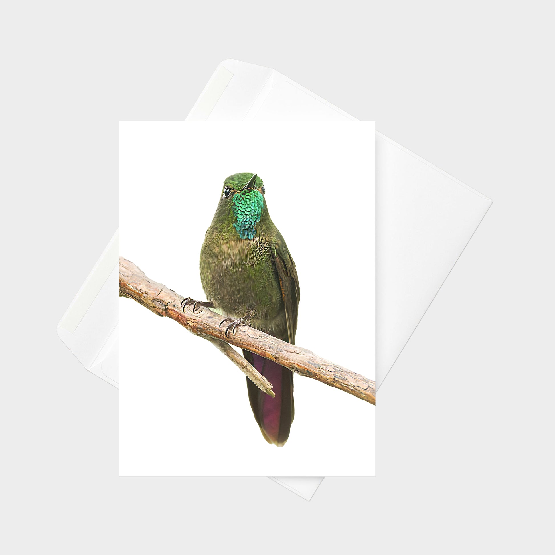 Tyrian Metaltail note card back view