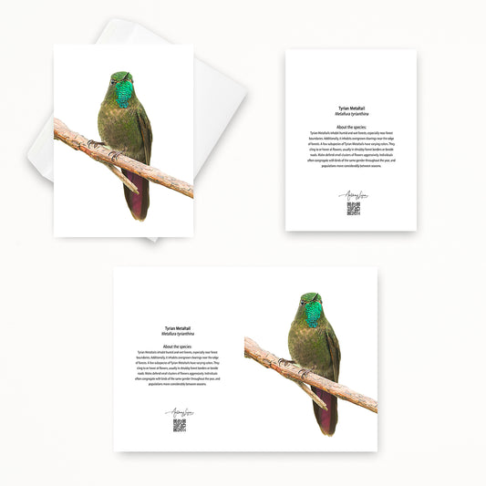 Tyrian Metaltail 5x7 note card featuring Anthony Lujan photography